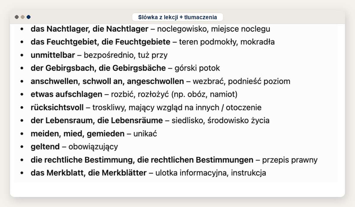 Słówka z tej lekcji, każde z tłumaczeniem, rodzajnikiem i formami nieregularnymi. Te same trafiają potem na fiszki.